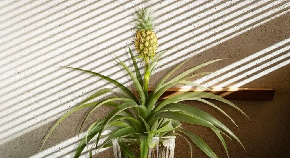 1000 545 1680358948 8606