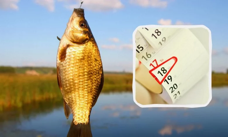 1200 0 1742312706 8649