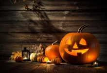 800 0 1633102901 5251