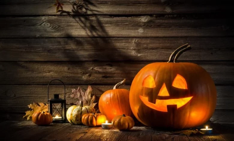 800 0 1633102901 5251