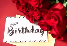 Pexels Freestockpro 12955484