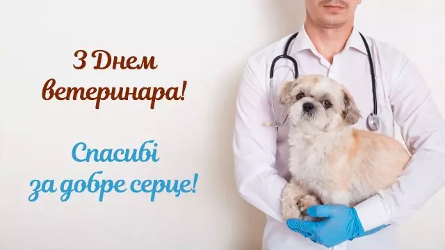 0034e18772137bc431273a86baffd53c