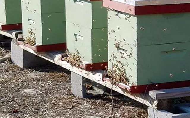 1736272985 640x400 1