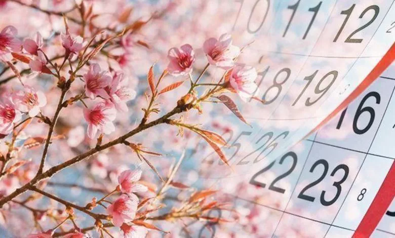 2120114dbbb14202a134effde77a370ah4htzarabwv0jbm Image