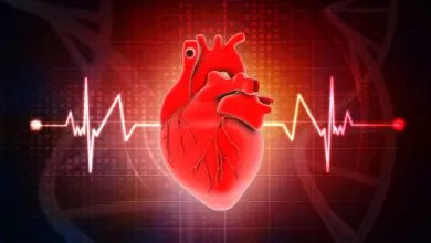 5241659 Shutterstock 1110200723 Share