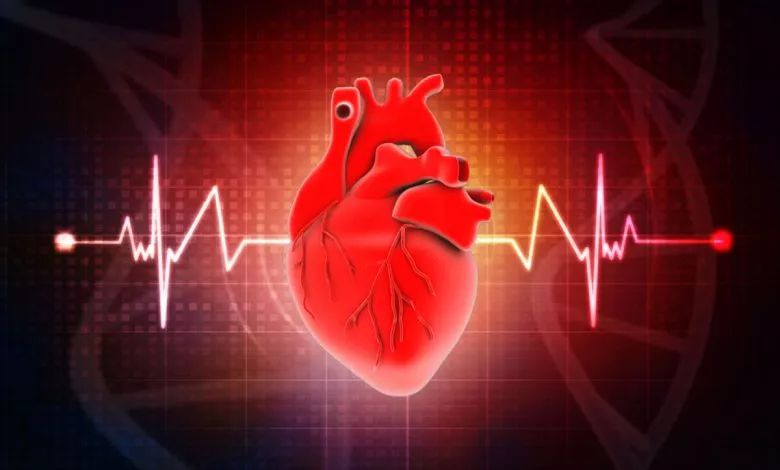 5241659 Shutterstock 1110200723 Share