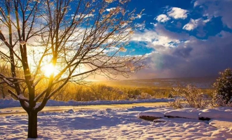 68 Large V1667548530 Scaled 1