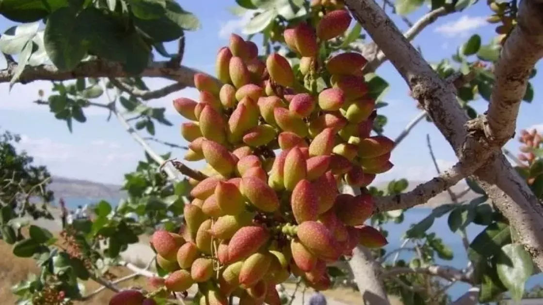 981049d5 3312b71275357157d1b132d65a04a490