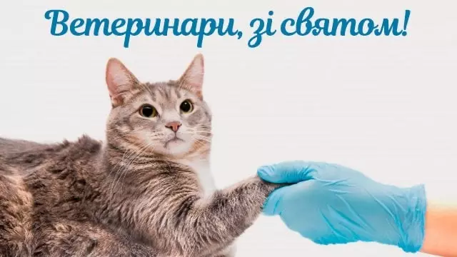 Fd33b053 Bd4d 4a6e Bf69 3a754c2d45b5