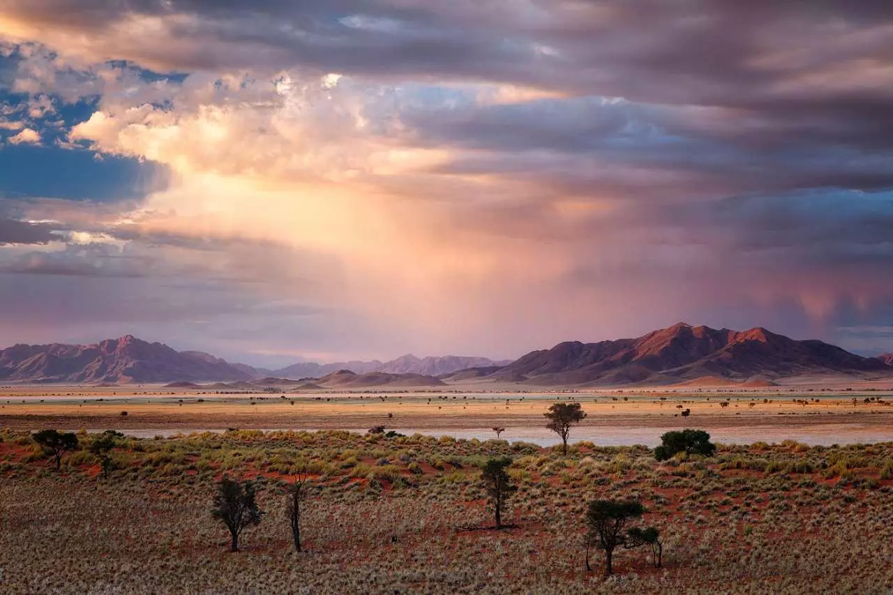 Senfil.net 1591629994 56464