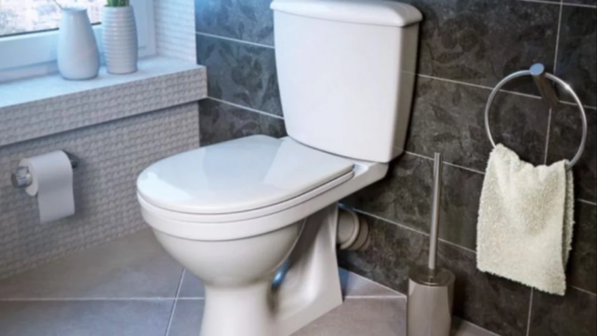 Tualet Po Fengshui Pravilno