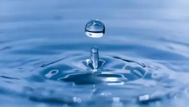 Tsikavi Fakti Pro Vodu Obkladinka.original